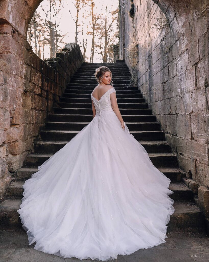 Custom Ivory Princess Big Ballgown Wedding Dress With Modest Neckline, Big  Puffy Skirt, Court Train, And Long Sleeves Perfect For Spring 2020 From  Dress_1st, $217.69 | DHgate.Com